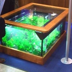 Table Aquarium