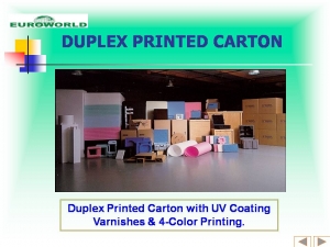 Duplex Printed Carton