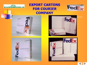 Export Cartons for Courier Company