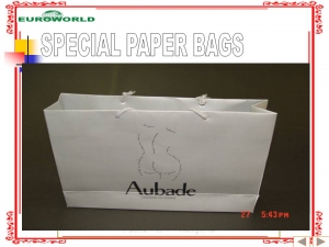 Special Paper Bags