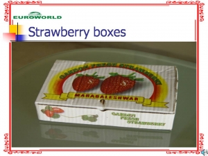 Strawberry Boxes