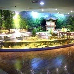 Indoor Ponds Aquarium