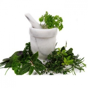 Herbs And Nutraceuticals