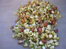Sprouts and Lentils
