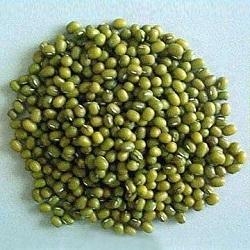 Whole Green Mung - Green gram Mung bean
