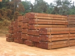 Imported Wood