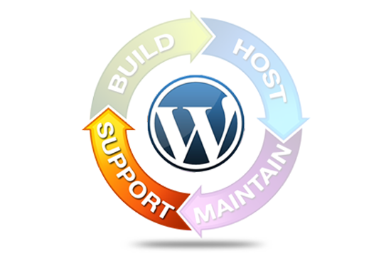 We will build professional WordPress website or blog