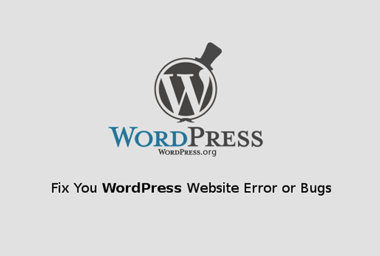 We will fix WordPress problems