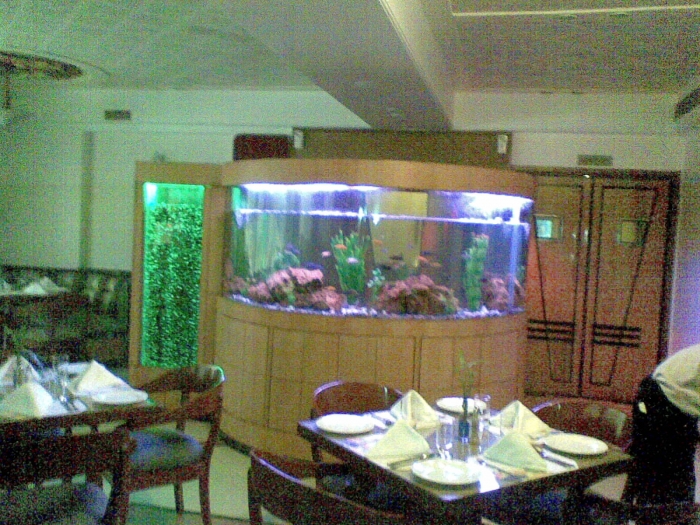 Aquarium-7