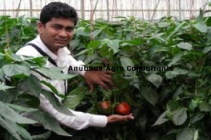 Agro Consultancy