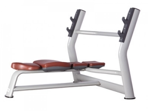 TECH SERIES -AF-9-23 A Weight Bench (Luxury)