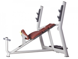 TECH SERIES -Af-9-25 A Incline Bench (Luxury)